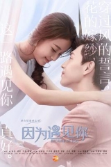 因为遇见你 因为遇见你