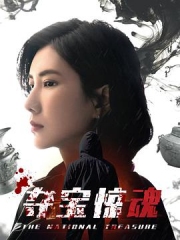 夺宝惊魂 夺宝惊魂