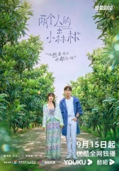 两个人的小森林 两个人的小森林