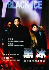 黑冰王志文版 黑冰王志文版