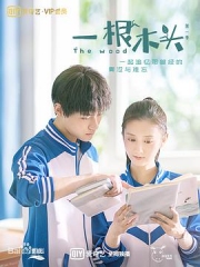 一根木头第一季 一根木头第一季
