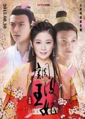 调皮王妃 调皮王妃
