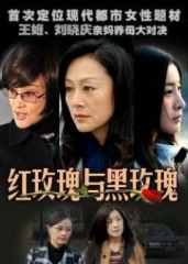 红玫瑰黑玫瑰 红玫瑰黑玫瑰