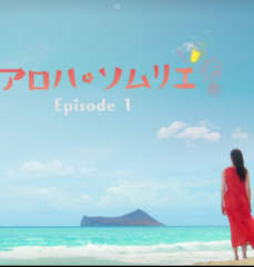 Aloha·品酒师 Aloha·品酒师