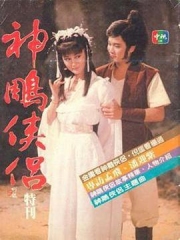 神雕侠侣潘迎紫版 神雕侠侣潘迎紫版