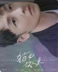 犹如故人来 犹如故人来