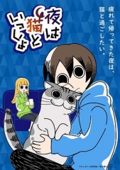 关于养猫我一直是新手 关于养猫我一直是新手