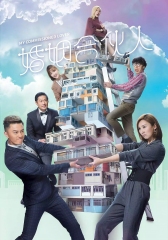 婚姻合夥人国语版 婚姻合夥人国语版
