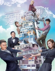 婚姻合伙人粤语 婚姻合伙人粤语