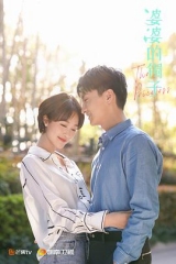 婆婆的镯子 婆婆的镯子