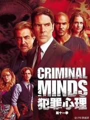 犯罪心理第十一季 犯罪心理第十一季