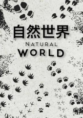 自然世界第一季 自然世界第一季