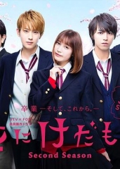 花予野兽第二季 花予野兽第二季