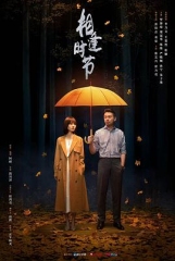 相逢时节网络版 相逢时节网络版