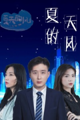 夏天的风 夏天的风