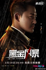 黑金风暴国 黑金风暴国