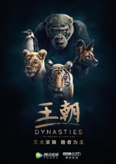 王朝第一季 王朝第一季