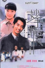 妙手情天 妙手情天