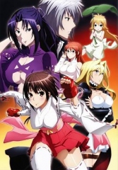 鹡鸰女神第二季 鹡鸰女神第二季