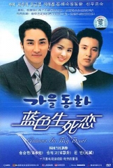 蓝色生死恋2000 蓝色生死恋2000