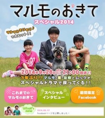 高护木的规矩SP2014 高护木的规矩SP2014