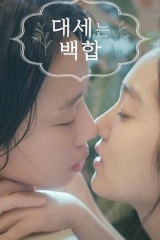 大势的百合 大势的百合