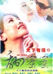 天下有情之甜蜜蜜 天下有情之甜蜜蜜