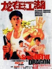 李小龙传 李小龙传