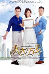 太太万岁2016 太太万岁2016