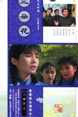 三朵花 三朵花