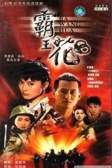 霸王花 霸王花
