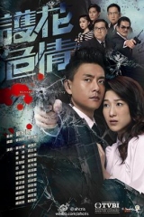 护花危情粤语版 护花危情粤语版