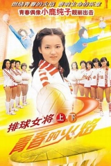 排球女将1979 排球女将1979