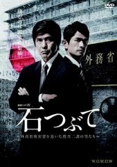 砾石 砾石