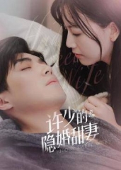 许少的隐婚甜妻第二季 许少的隐婚甜妻第二季