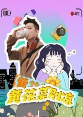 黄花菜别凉 黄花菜别凉
