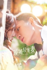 暖婚轻宠妻第二季 暖婚轻宠妻第二季