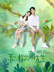 不一样的萧先生 不一样的萧先生