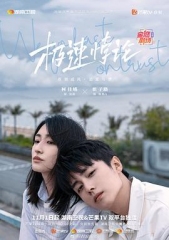 极速悖论 极速悖论