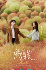 治愈系恋人 治愈系恋人
