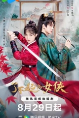 了不起的女侠 了不起的女侠