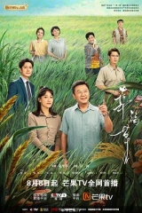 幸福草 幸福草