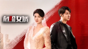 危险女婿 危险女婿