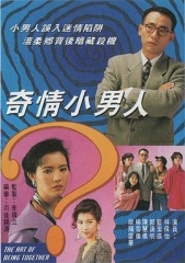 奇情小男人国语 奇情小男人国语