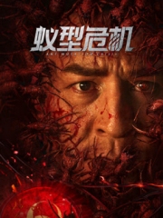 蚁型危机