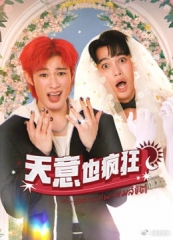 天意也疯狂 天意也疯狂