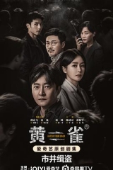 黄雀 黄雀