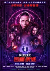 疾速追杀:芭蕾杀姬 疾速追杀:芭蕾杀姬