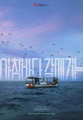 晨海的海鸥
