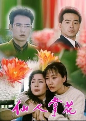 仙人掌花 仙人掌花